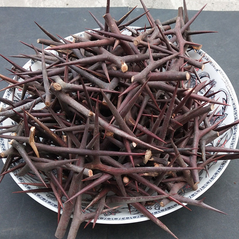 中药材皂刺 纯刺 野生皂角刺 皂荚刺 天丁 皂刺新货100克包邮