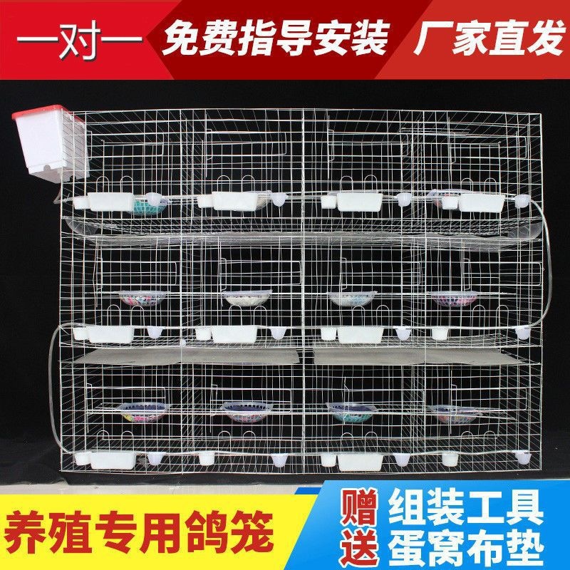 鸽子笼子养殖笼家用配对鸽笼12位种鸽子繁殖笼16位肉鸽养殖笼大纳