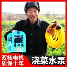 充电水泵浇菜神器浇水机家用田园自吸便携农用户外浇地抽水泵12v