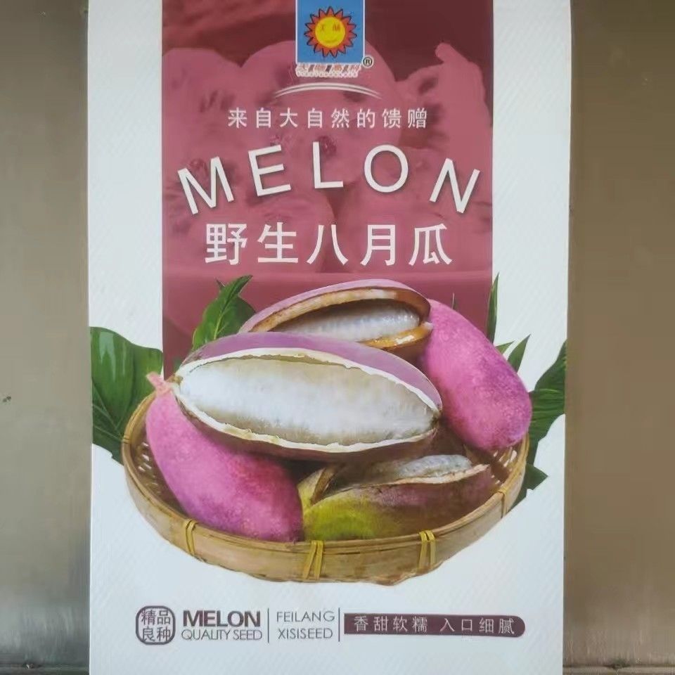 野生八月瓜种子特色紫果八月瓜树庭院爬藤植物食用水果八月炸种籽