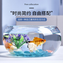 乌龟生态缸创意水族箱圆形玻璃缸大号迷你小型造景水培花瓶好看