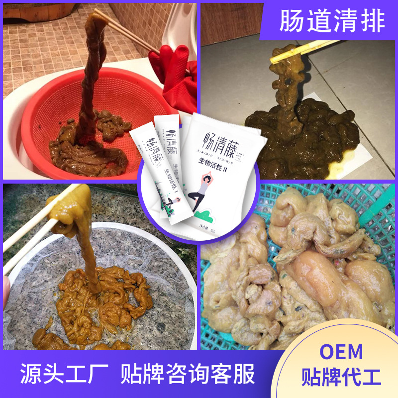 畅清排藤黄果酵素饮品 综合果蔬肠排粉 孝素粉固体饮料OEM代加工