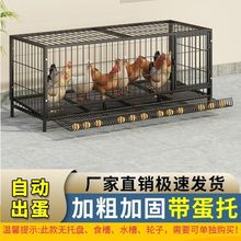 鸡笼子家用大号家用立体养殖笼折叠笼加粗铁狗笼鸭笼鹅笼厂家直销