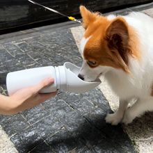 宠物用品狗狗随行水杯外出户外便携式旅行可折叠水壶遛狗用饮水器