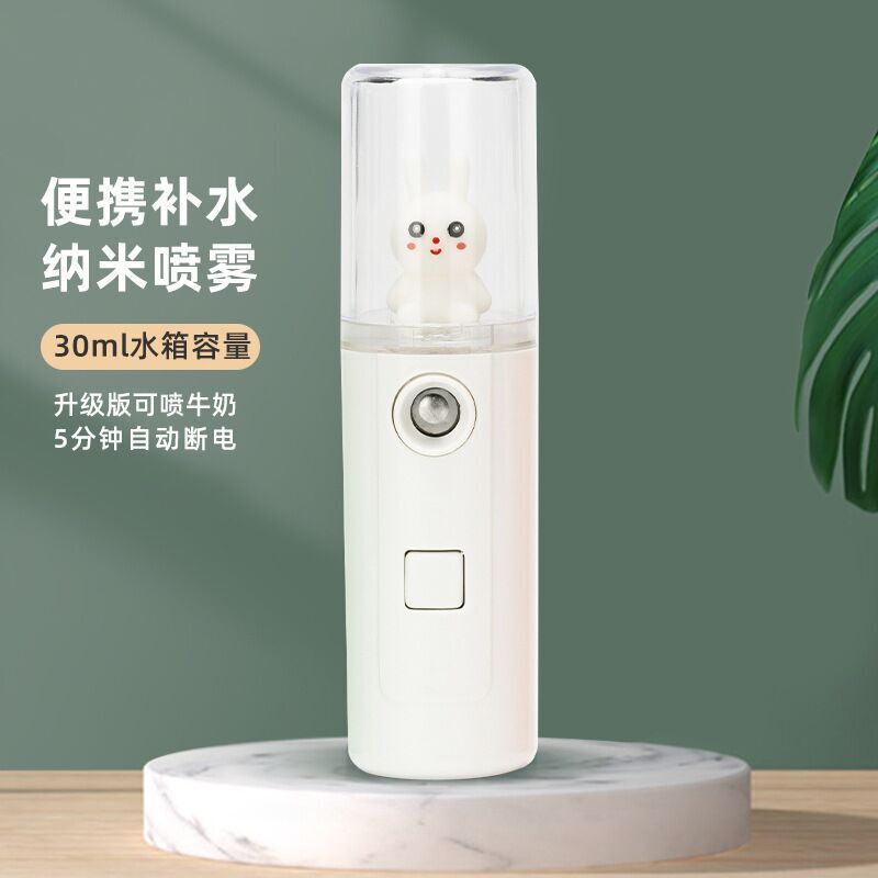 Water Replenishing Instrument in Stock Rechargeable Creative Cartoon Doll Cute Pet Sprayer Portable Handheld Humidifier