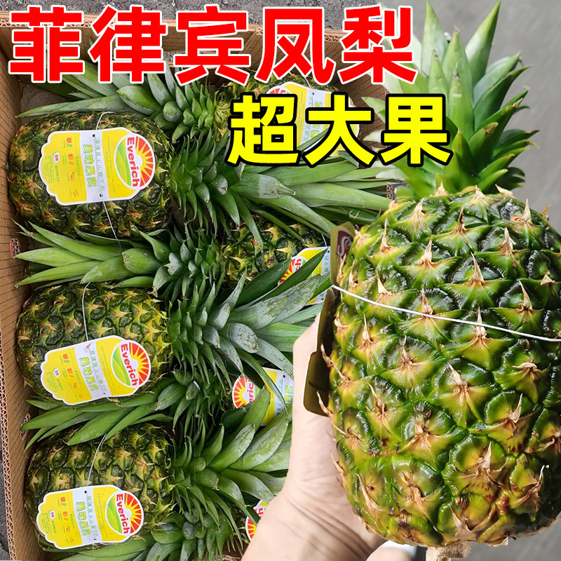 菲律宾进口凤梨整箱都乐ev凤梨sw佳农牌凤梨金菠萝新鲜水果批