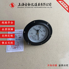 上海自动化仪表四厂Y-100ZT轴向带边压力表