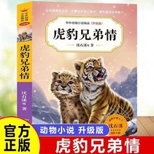 虎豹兄弟情沈石溪小说全套正版中外动物小说升级版小学生课外书籍
