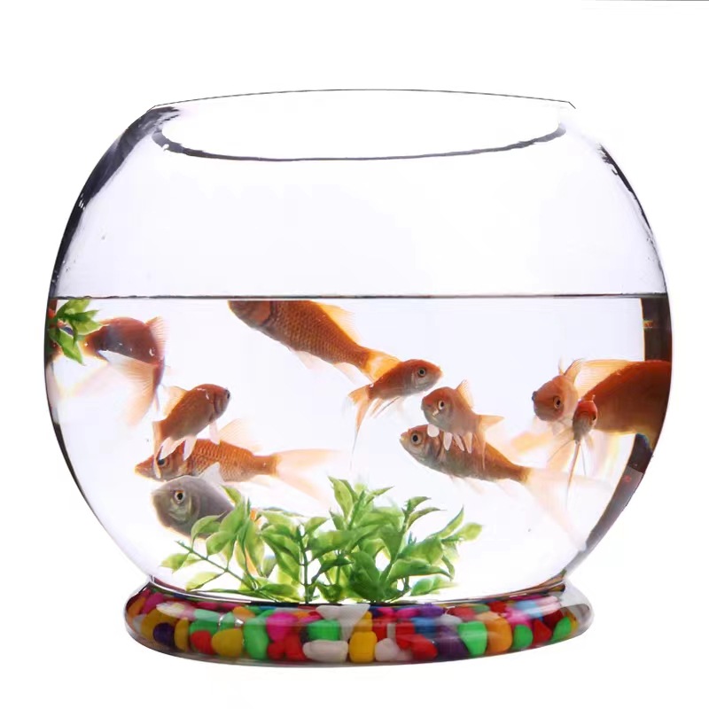 Creative with Bottom round Glass Fish Tank Household Living Room Turtle Jar Desktop Hydroponic Plant Transparent Vase Container