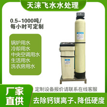 上海天涞飞水单阀双罐全自动软化水设备 双阀双罐软水器 一用一备