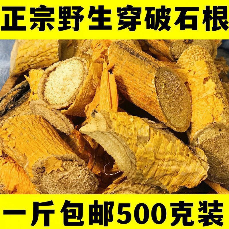 正宗广西野生穿破石中药材穿破石根川破石根九层皮地棉根非进口