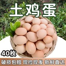 鸡蛋批发40枚农家土鸡蛋散养农村笨新鲜营养5枚柴鸡蛋整箱跨境