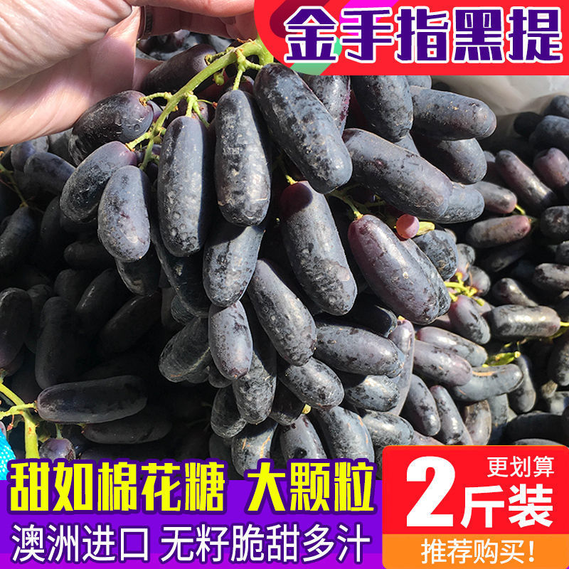 澳洲金手指黑提2斤装美人指葡萄黑手指进口拇指无籽提子新鲜水果