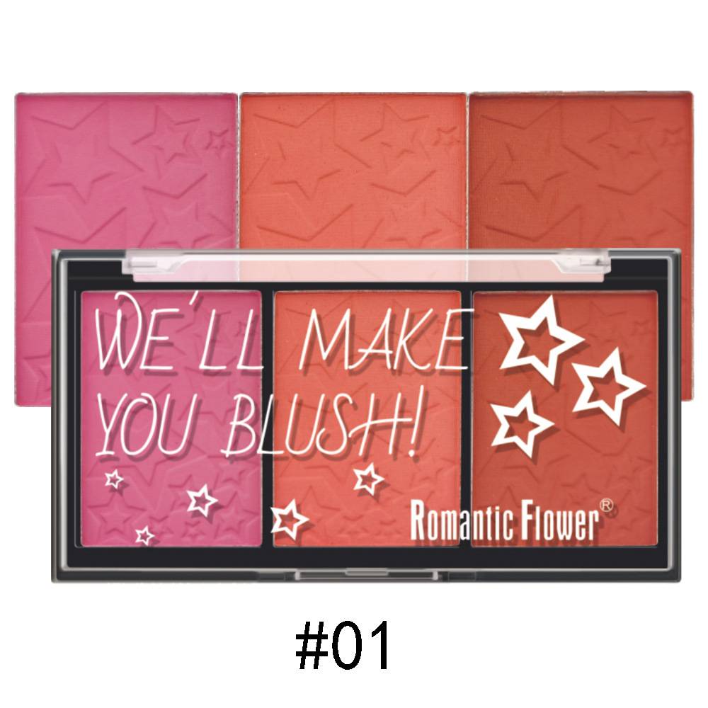 for Cross-Border Foreign Trade Export Makeup 3 Colors Blush Matte Blusher Plate Rouge Natural Orange Pink Cosmetics
