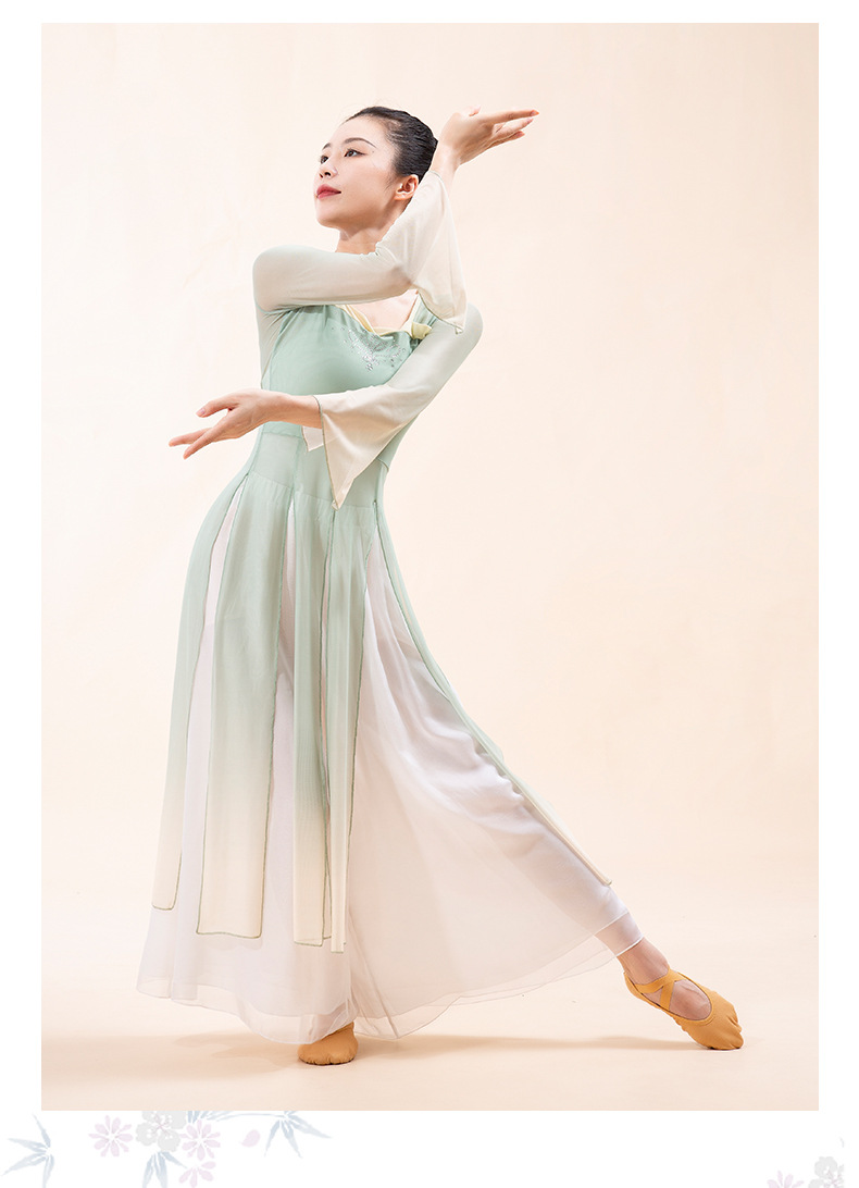 古典舞身韵纱衣舞蹈服装中国现代飘逸形体基训练功演出服连衣裙女