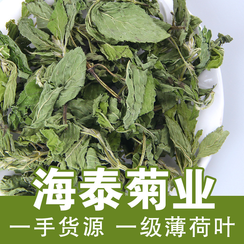 薄荷茶叶干薄荷叶新鲜可食用泡茶水喝的东西一级清凉凉茶冷泡夏季