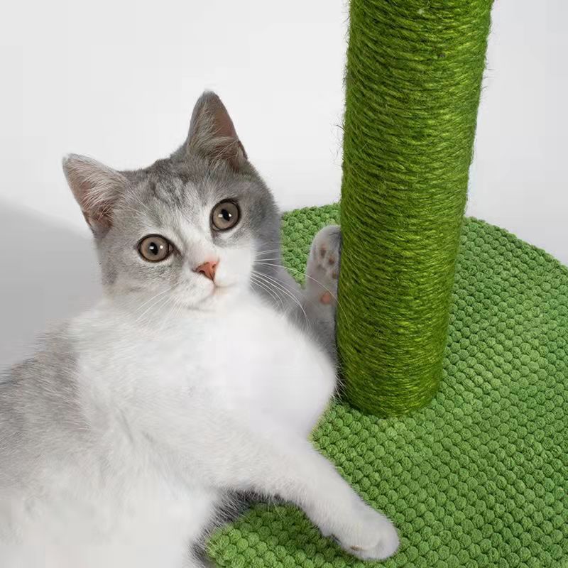 Amazon Cactus Cat Scratch Board Sisal Scratching Pole Climber for Pet Cat Cat Toy Supplies Grinding Claw Scratching