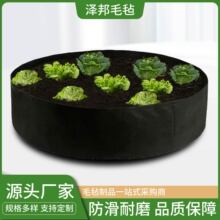 厂家供应 圆形毛毡种植袋 黑色无纺布种植袋 园林绿化种植 培育袋