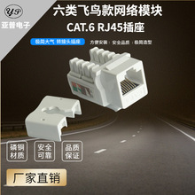 飞鸟安普款六类keystone非屏蔽信息电脑网络网线rj45cat6免打模块