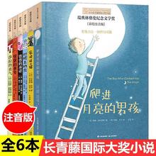 小小长青藤国际大奖6册爬进月亮男孩莎拉勇气会说话猫灯塔上的光