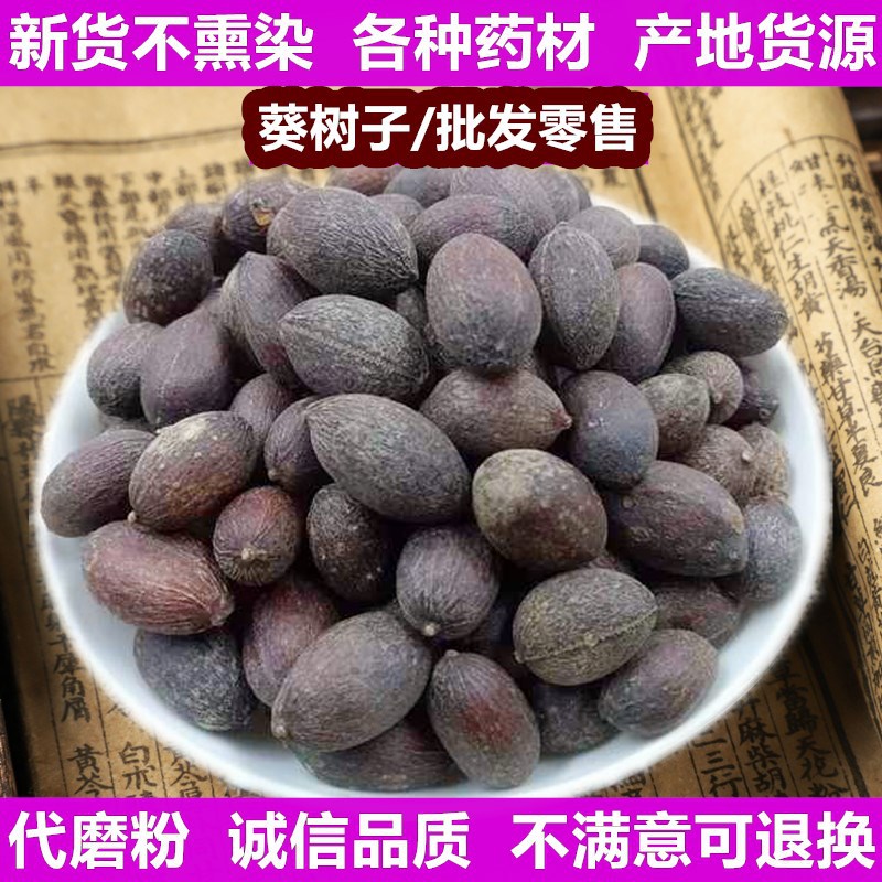 蒲葵子葵树子 新货不熏染农产品量大从优中药材原料 葵树籽葵扇子