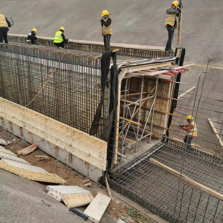 桥梁隧道涵洞塑钢abs模板多少钱塑料水沟盖板模批发模立方装配板