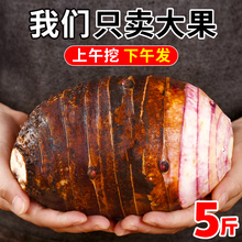 广西荔浦新鲜大芋头整箱9斤现挖粉香芋正宗特产槟榔芋紫藤毛芋头