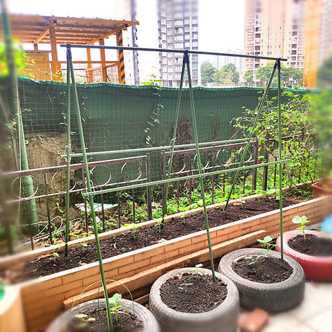 爬藤支架丝瓜豆角百香果苦瓜葡萄 黄瓜架子菜园 庭院家用架网包塑