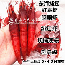 东海红魔虾新鲜绯红虾鲜活冷冻胭脂虾刺身级红虾海鲜水产深海