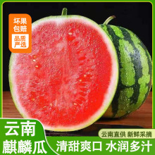 云南麒麟大西瓜薄皮夏邑8424冰糖孕妇当季新鲜水果现摘一件代发