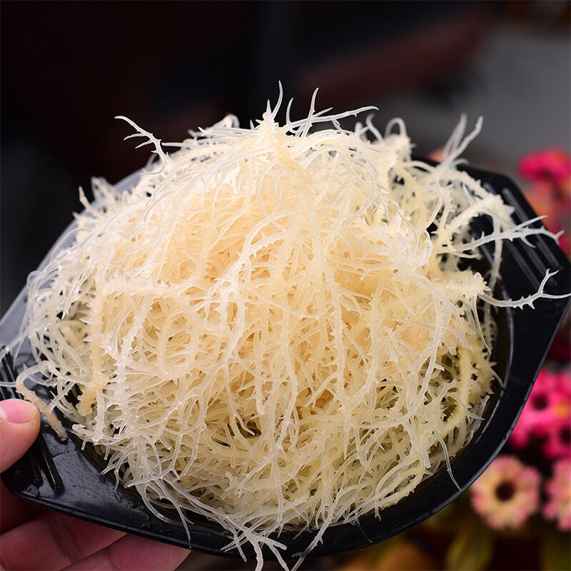 龙须菜批发凉拌菜海产海草海石花菜海藻鹿角菜海半干潮菜干石花