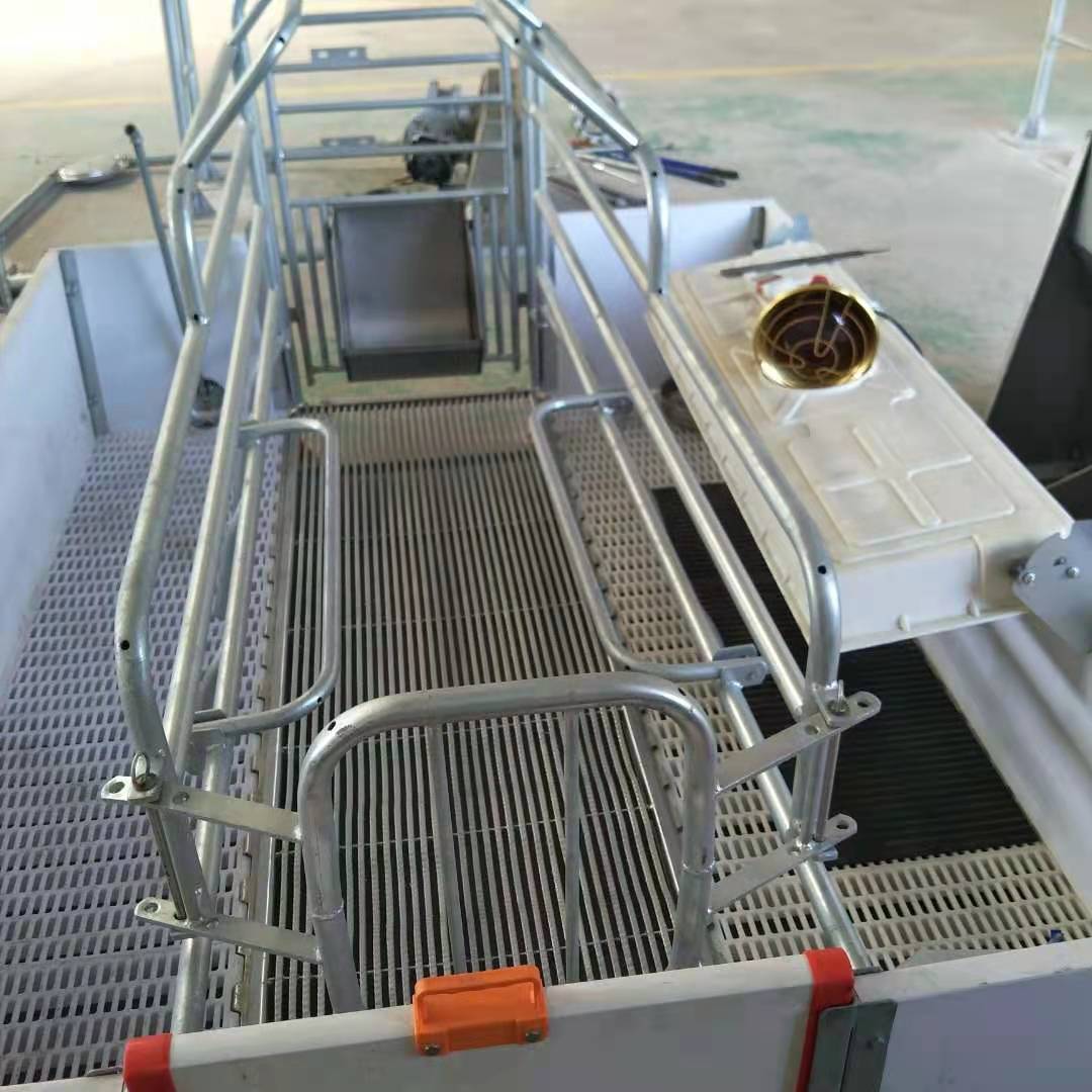 母猪产床 加工定制母猪限位栏产床 欧式母猪产床 单双体母猪产床