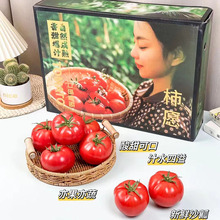 【顺丰快递】柿愿普罗旺斯西红柿沙瓤水果西红柿现摘现发整箱4斤