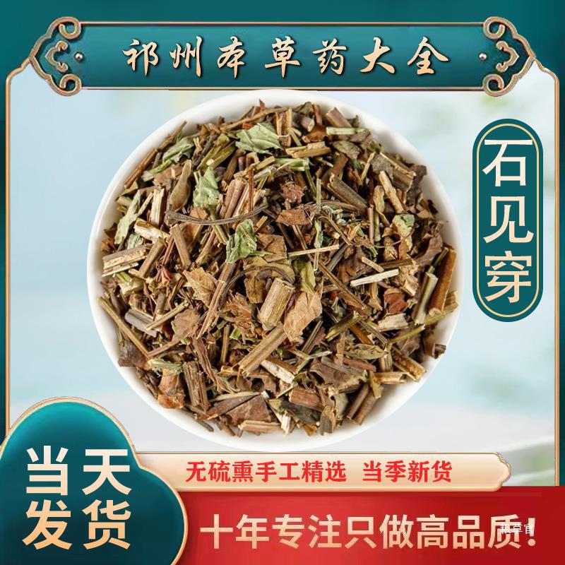 石见穿500g 石见穿中草月下红石打穿石大川红紫参 批真货好货