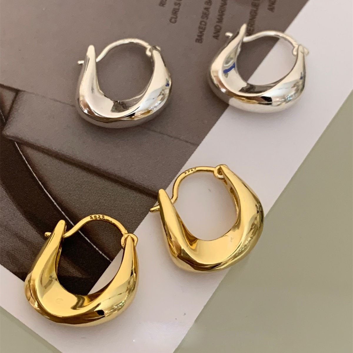 Simple Style Niche Design Metal Hoop Earrings 2023 New Popular Temperament Wild High-Grade Earrings for Women