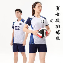 批发V领排球服套装男女款有袖队服排球衣透气训练比赛运动队服