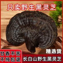 长白山野生灵芝今年干货正宗纯天然黑灵芝中药材整枝切片煲汤泡酒