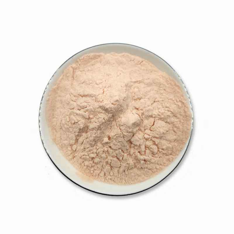 全水融喷雾干燥话梅果粉 果汁粉青梅粉酸梅粉sc工厂现货 固体饮料