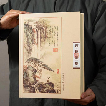 普洱茶黑茶白茶龙珠茶盒18颗28颗古树龙珠盒茶叶通用空礼盒收纳盒