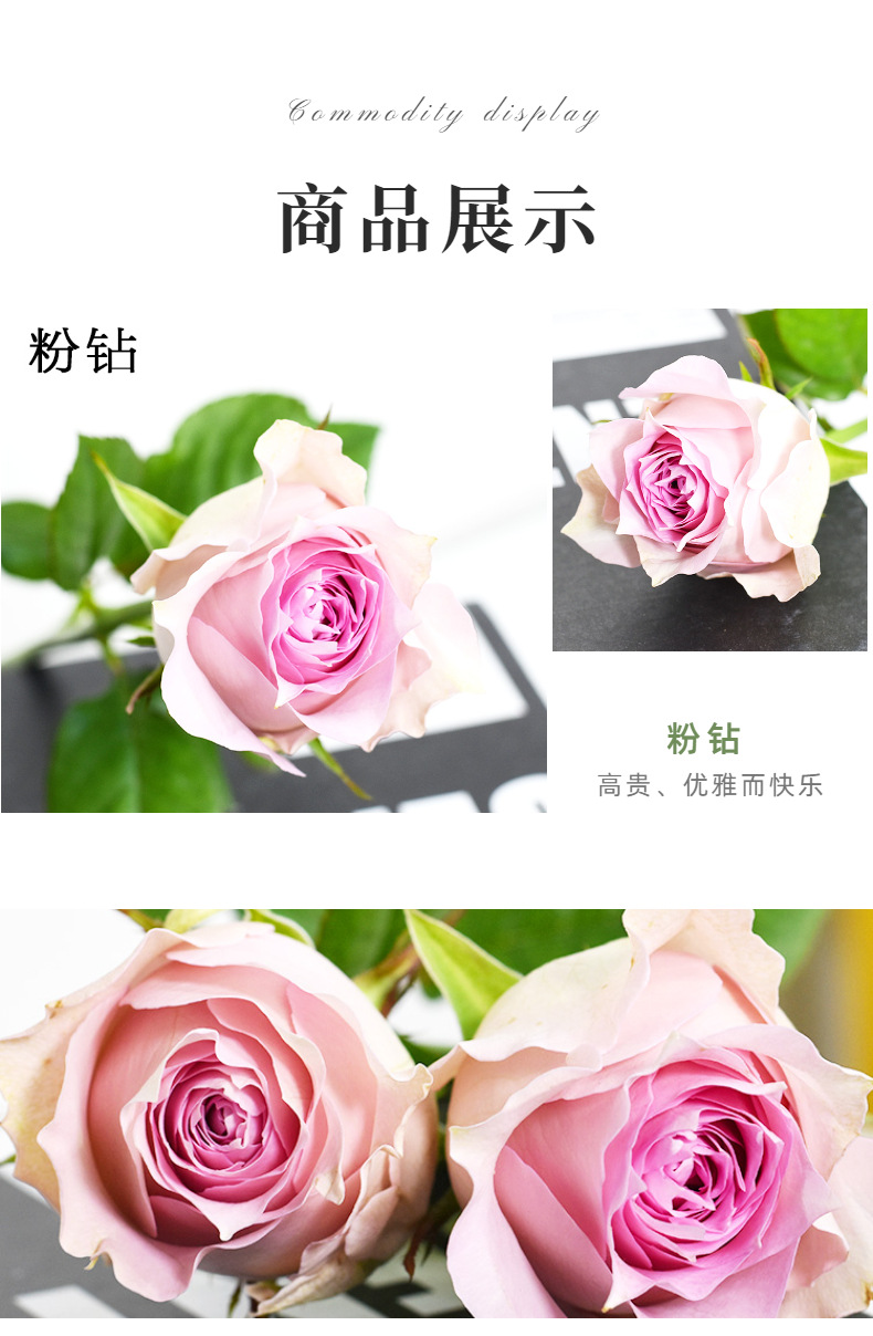 【粉钻玫瑰】昆明鲜花批发 基地新鲜玫瑰花 粉色居家装饰鲜切花