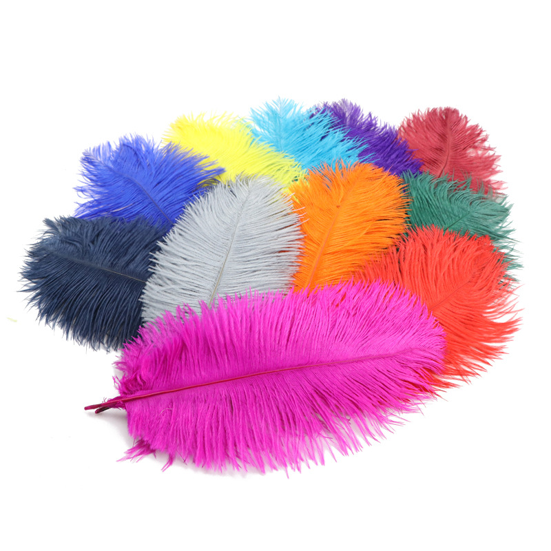Ostrich Feather Internet-Famous Wall 25-30cm Colorful Feather Wedding Wedding Decoration Lamp Table Decoration Feather