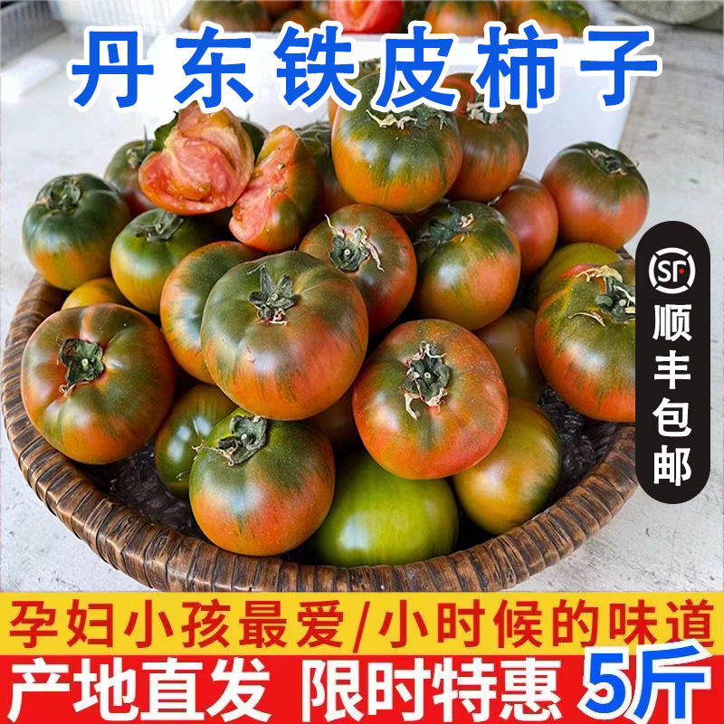 东北辽宁丹东铁皮柿子新鲜精品碱地草莓柿子绿腚水果西红柿水果