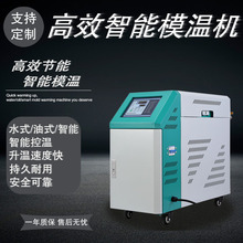 深圳台强 厂家直销 注塑高温水式/油式模温机 自动恒温加热高温机