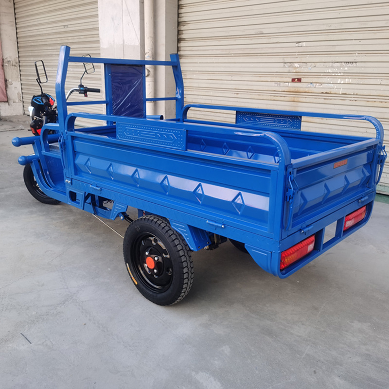 电动三轮车载重王拉货成人拉货三轮车快递车新款家用电瓶车农用车