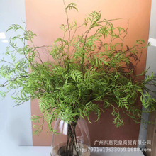 软胶蕨草手感胶垂感海沙蕨叶长杆家居装饰植物蕨草单支蕨类柳枝