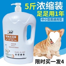 沐浴露宠物狗狗大桶洗澡液除臭止痒猫咪泰迪金毛香波用品一件批发