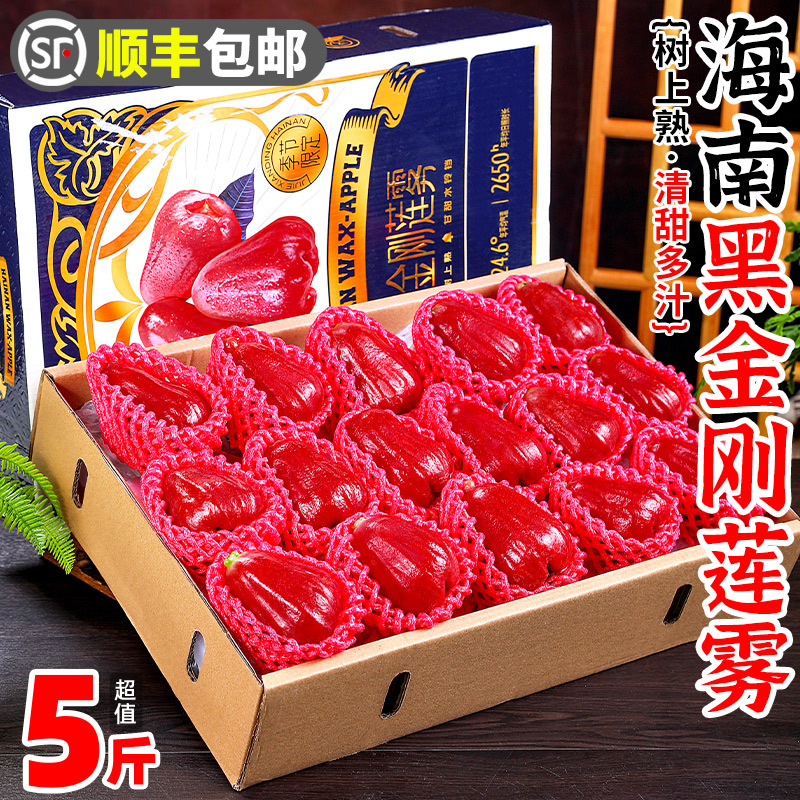 精美礼盒海南黑金刚莲雾果5斤整箱新鲜水果热带应季三亚顺丰包邮