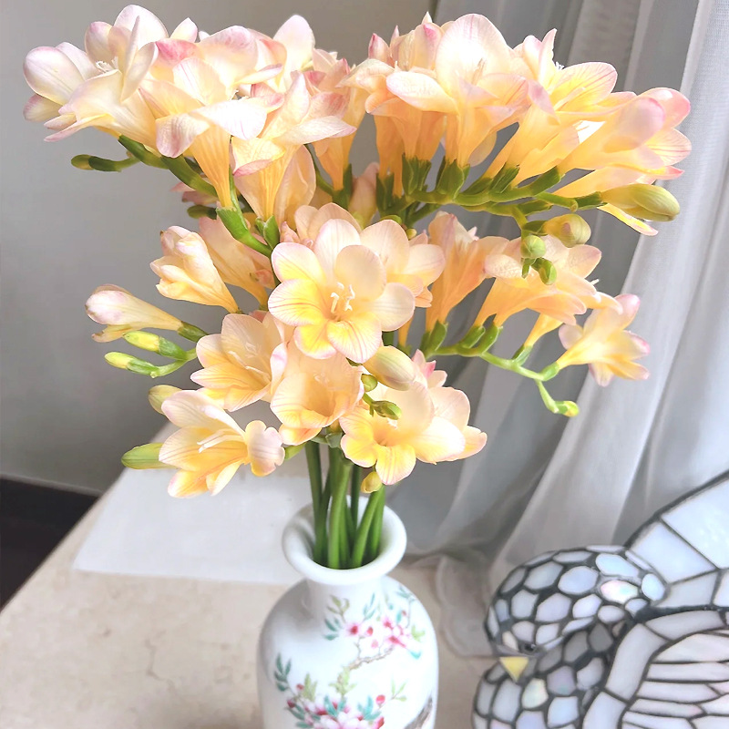 香雪兰鲜花云南基地直发家用插花水养昆明基地直批鲜切花小苍兰