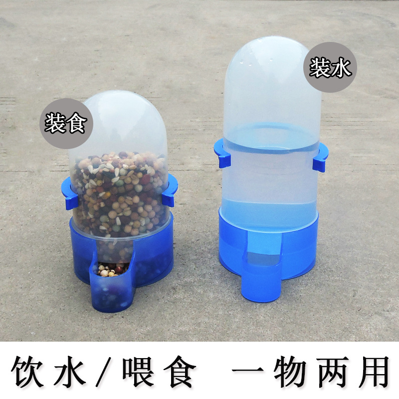 鸽子饮水器水食两用信鸽自动喂水壶鹦鹉喂食器鸟用食盒食槽
