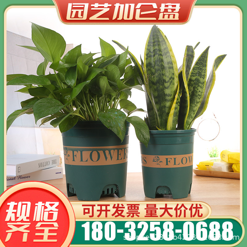 加仑盆大口径花盆加厚控根盆环球特大矮胖塑料二代三代